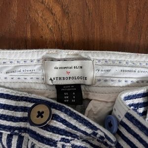 Anthropologie  Blue Stripe Pants with Flower Detail